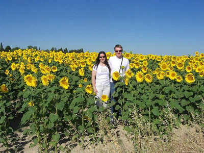 sadjarstvo svetovanje